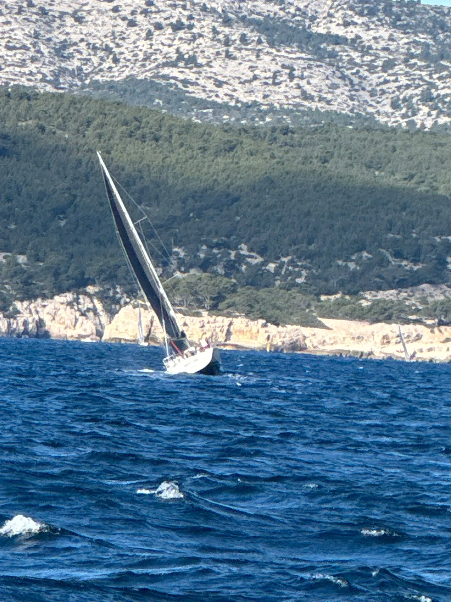 Whatsapp image 2025 01 12 a 14 08 00 67a6d718