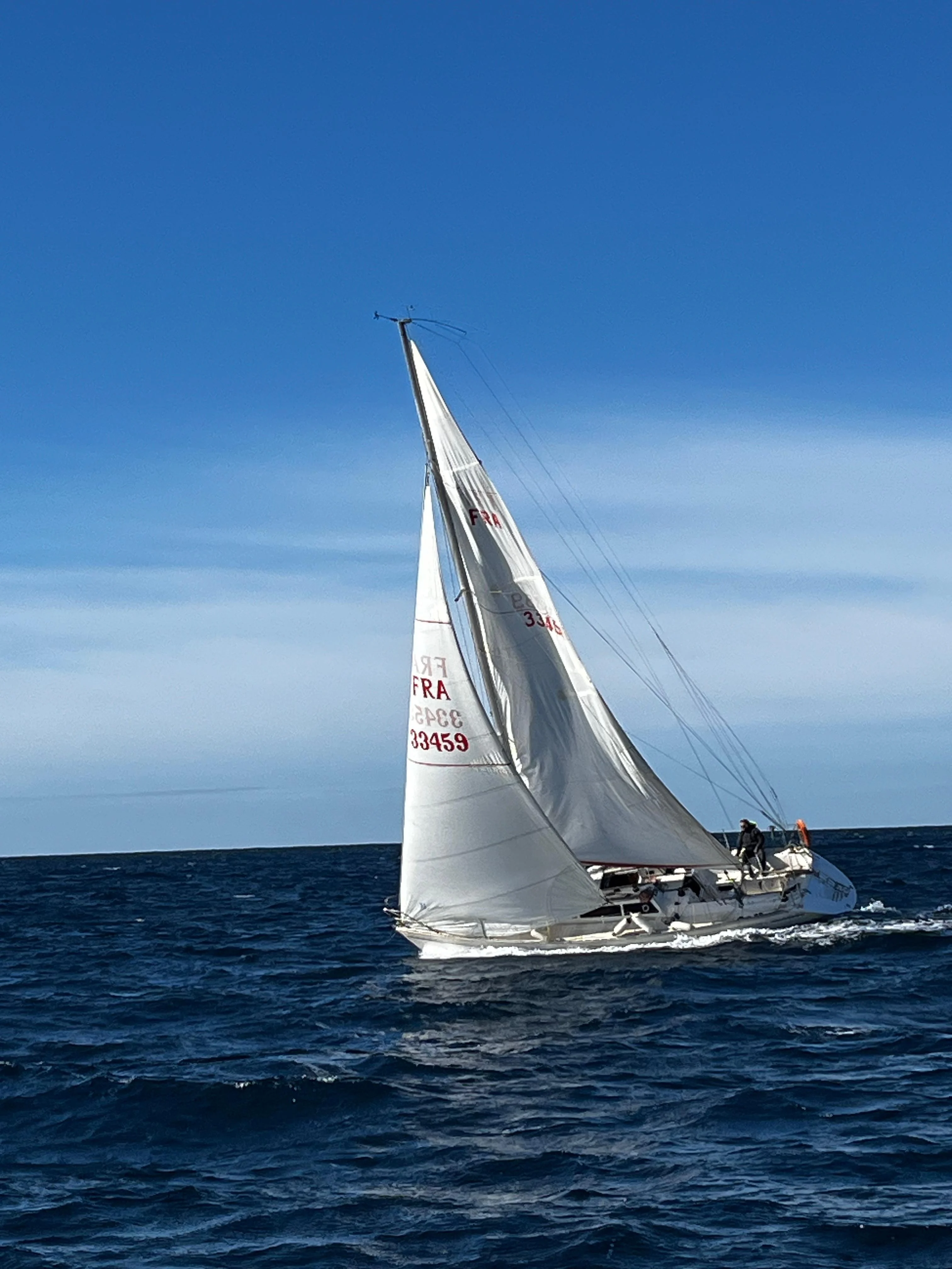 Whatsapp image 2025 01 26 a 15 01 35 c60a22a2