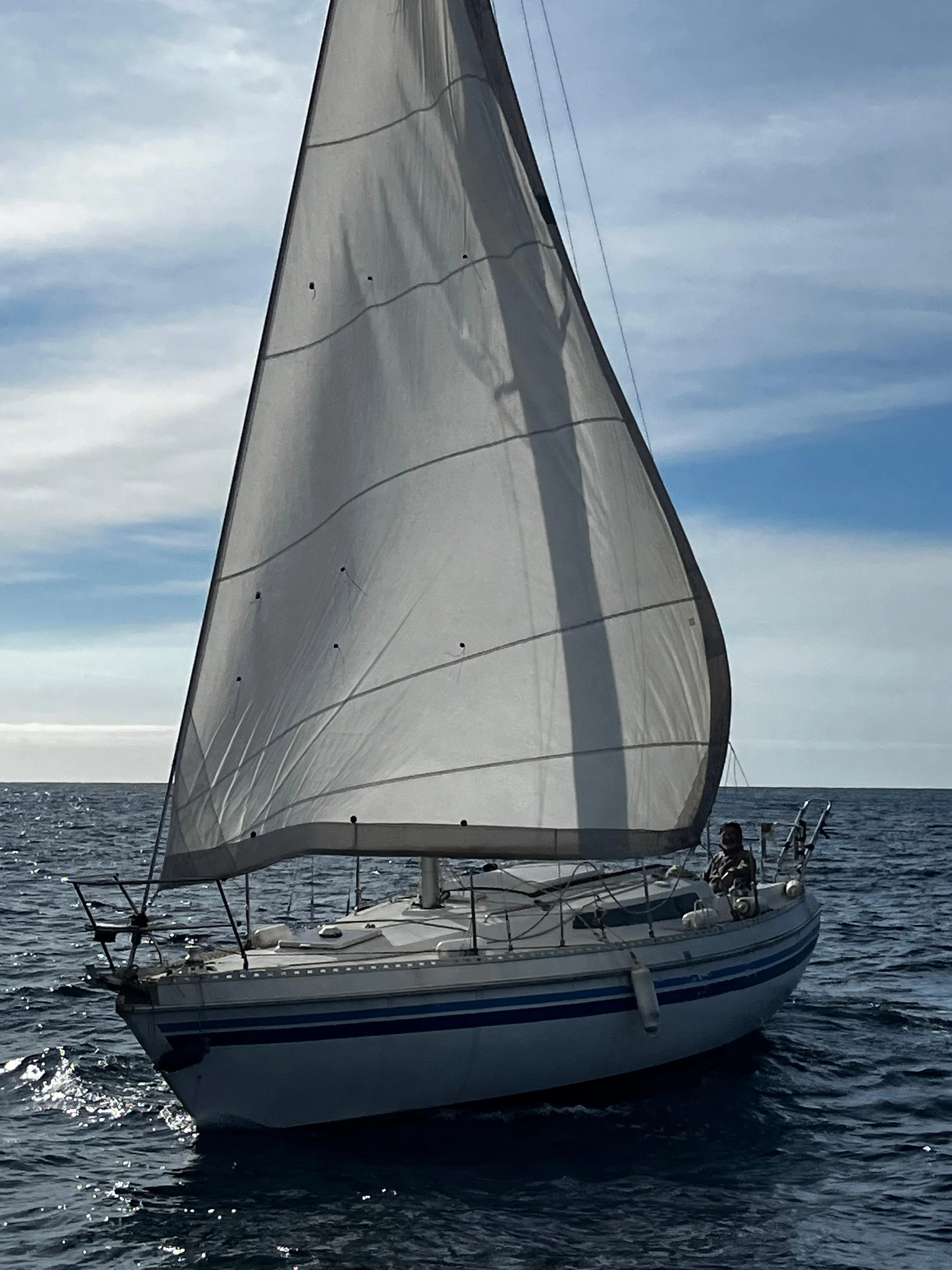 Whatsapp image 2025 01 26 a 16 51 41 a40800af