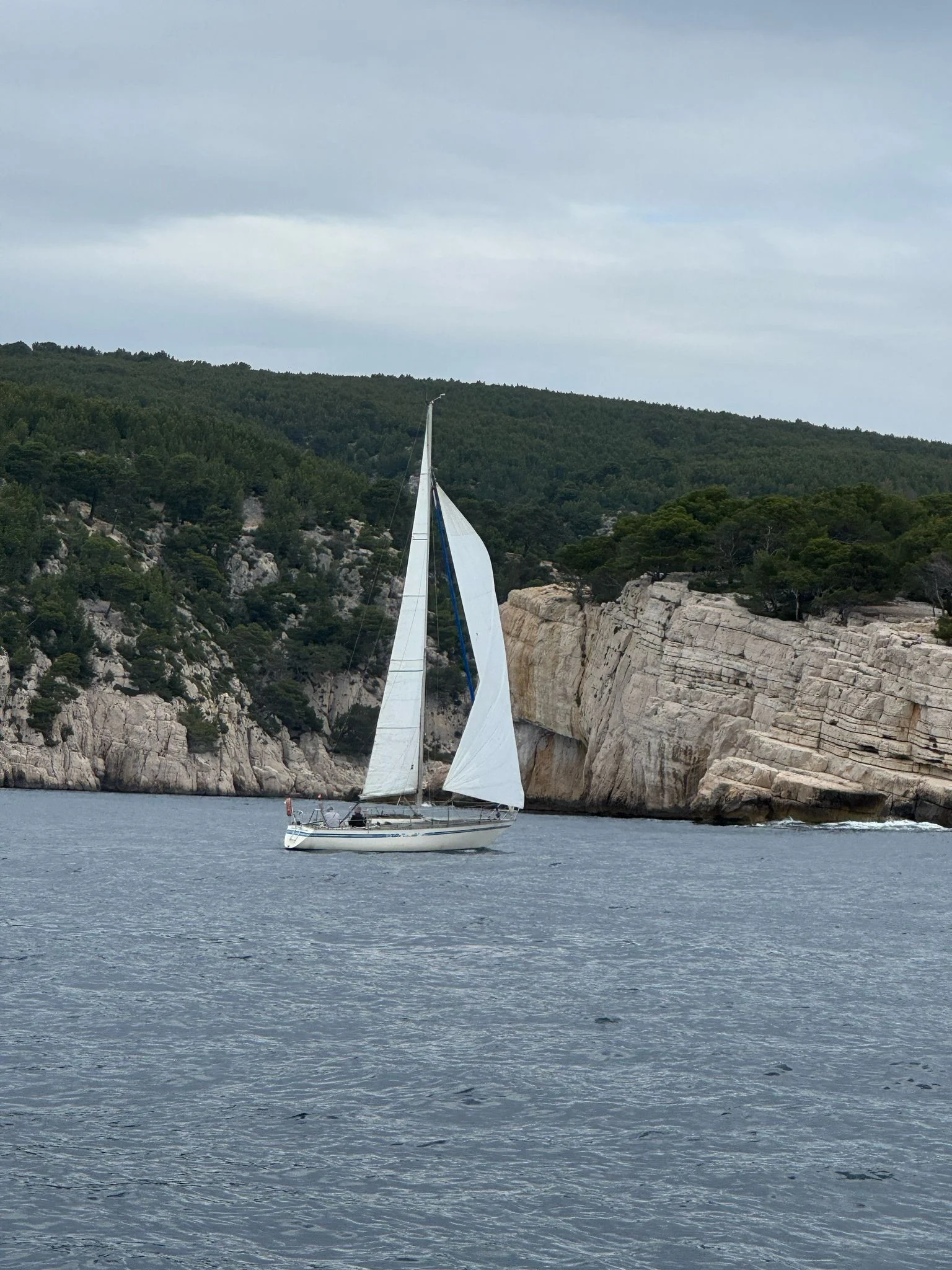 Whatsapp image 2025 04 27 a 12 21 39 17073172