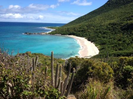 Baie de petite caille. Réserve naturelle NE Saint-Martin