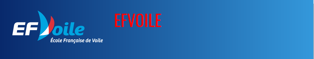 Logo efv