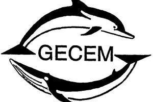 Logo gecem