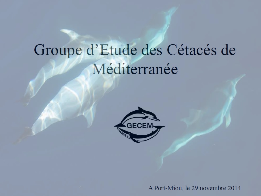 Presentation gecem 291114 au cnpm