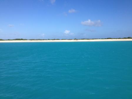 Barbuda une île surpeuplée